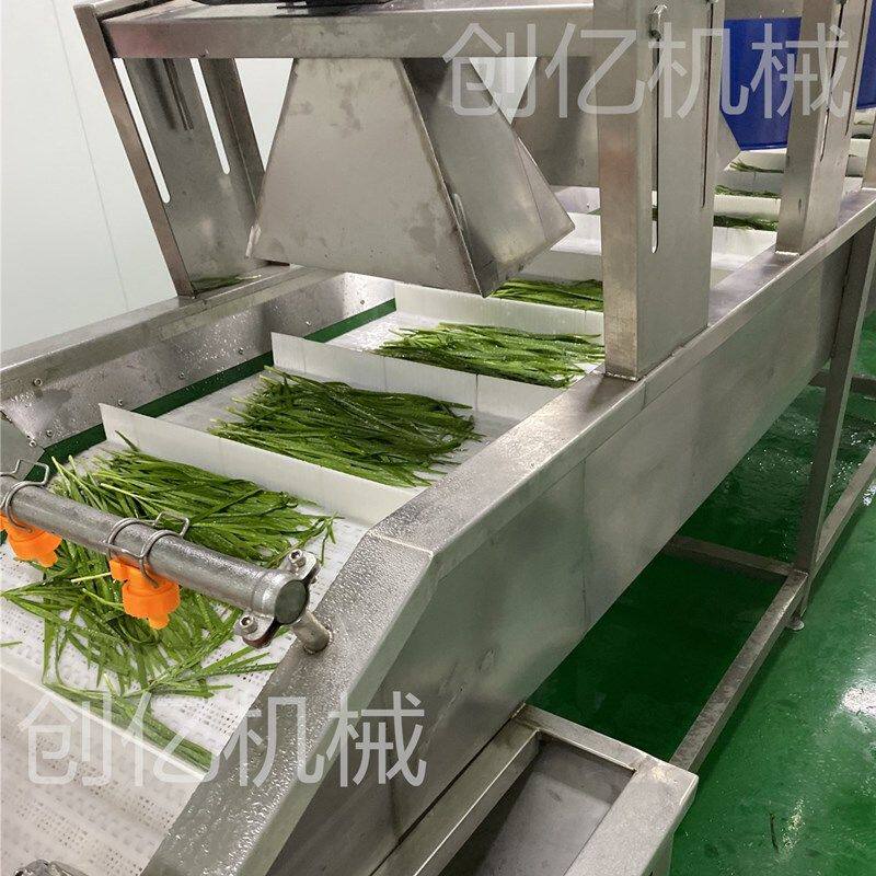 韭菜韭黄清洗风干流水线 去泥沙气泡清洗机 大型商用连续式洗菜机