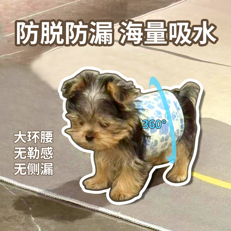 约克夏专用纸尿裤月经生理裤母狗