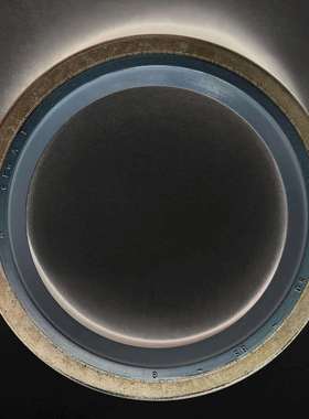 CFW B1FUD 60-75-8 80-100-10 45-55-7simrit外骨架B1 油封