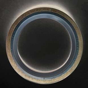 油封 100 7simrit外骨架B1 CFW B1FUD