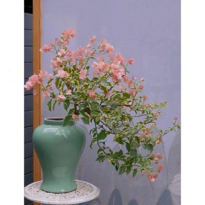 花盆插花三角梅高飘花瓶新中式专用的端大气陶盆客厅摆件枝适合种