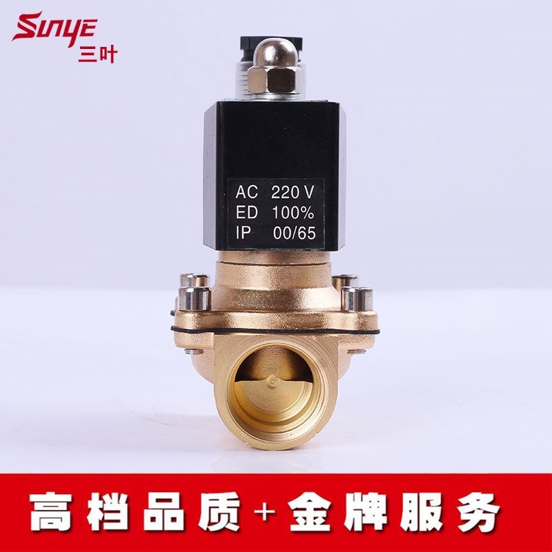 2W-20 防雾电磁阀6分DN20优质水阀24V 220VQ灌溉 喷淋室外防水大