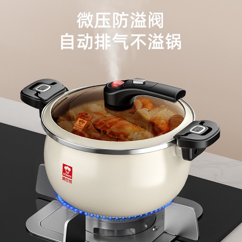 巴赫汤锅不粘锅汤煲微压炖肉锅加深加厚防溢焖煮锅电磁炉搪瓷汤锅