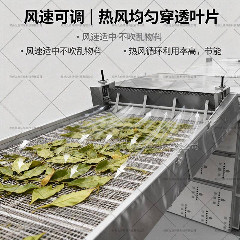 枇杷叶烘干机烧煤柴网带式烘干设大比量材工业网带烘干机
