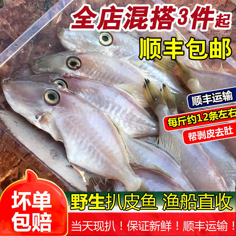 扒皮鱼新鲜海捕耗儿鱼冷冻海鲜马面鱼小剥皮鱼当天扒皮去肚好包邮