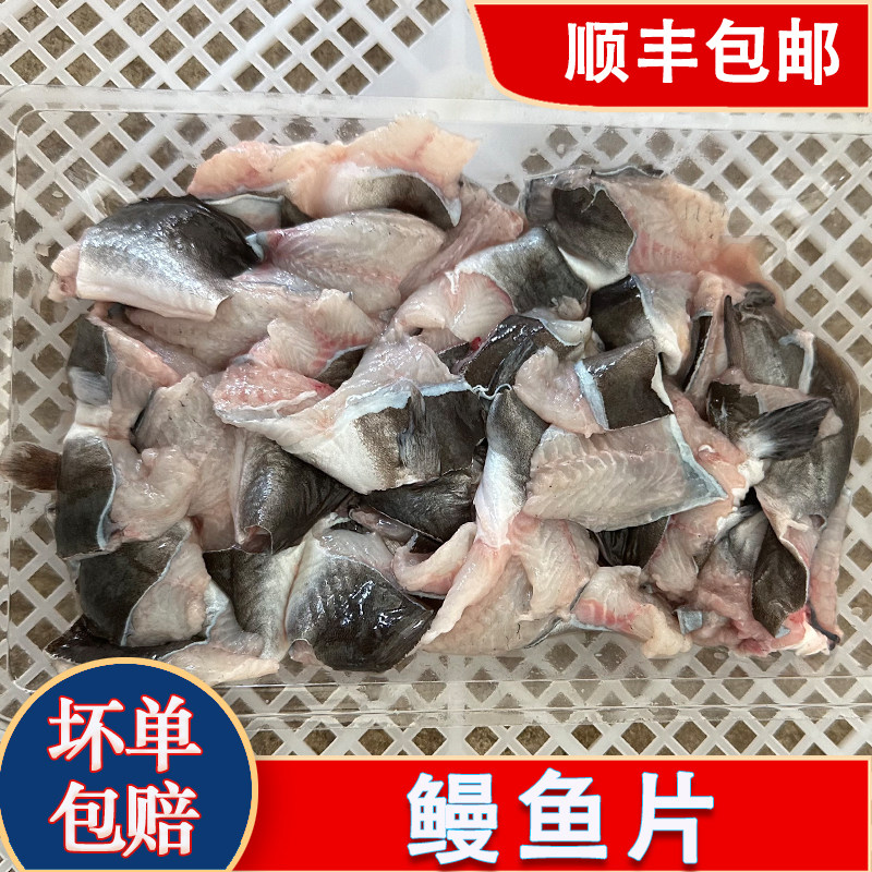 海乌鱼鲜活潮汕月子海鱼鲻鱼海鲜水产海鱼
