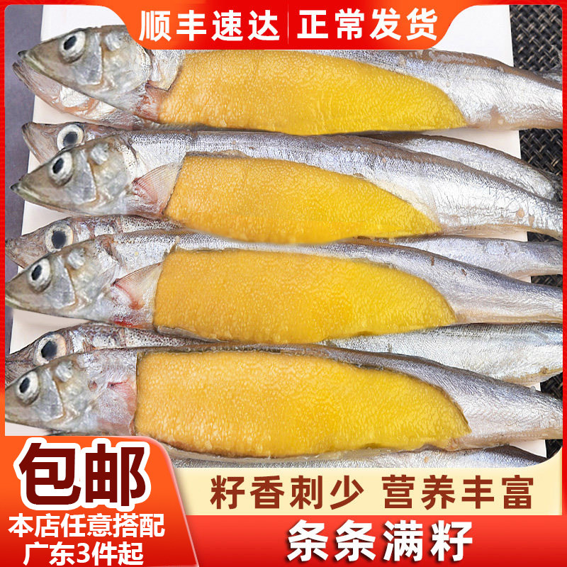 满籽多春鱼鲜活冷冻鱼类风冻干多春鱼带籽烧烤煎带籽海鲜海鱼