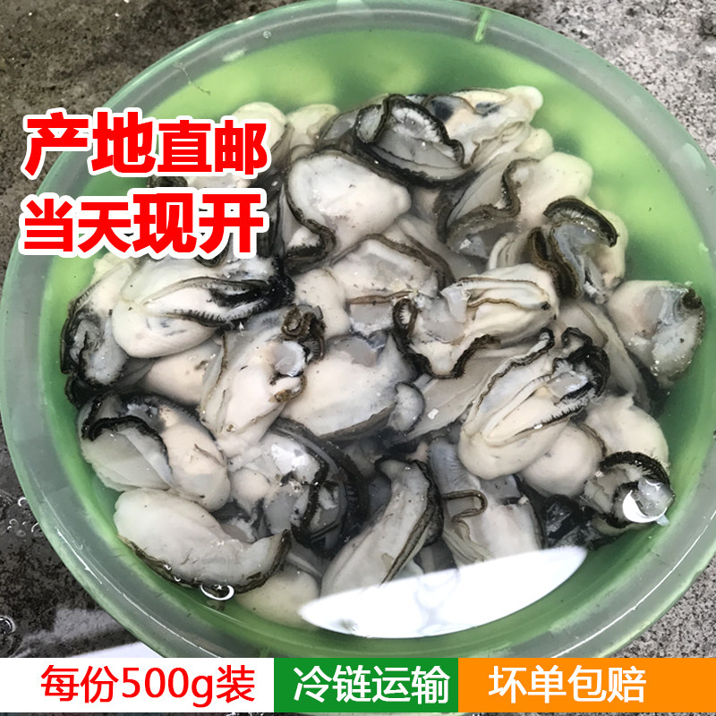 鲜活现剥冷冻蚝肉生蚝生耗水产牡蛎新鲜海鲜海蛎子去壳生蚝肉蛎蝗