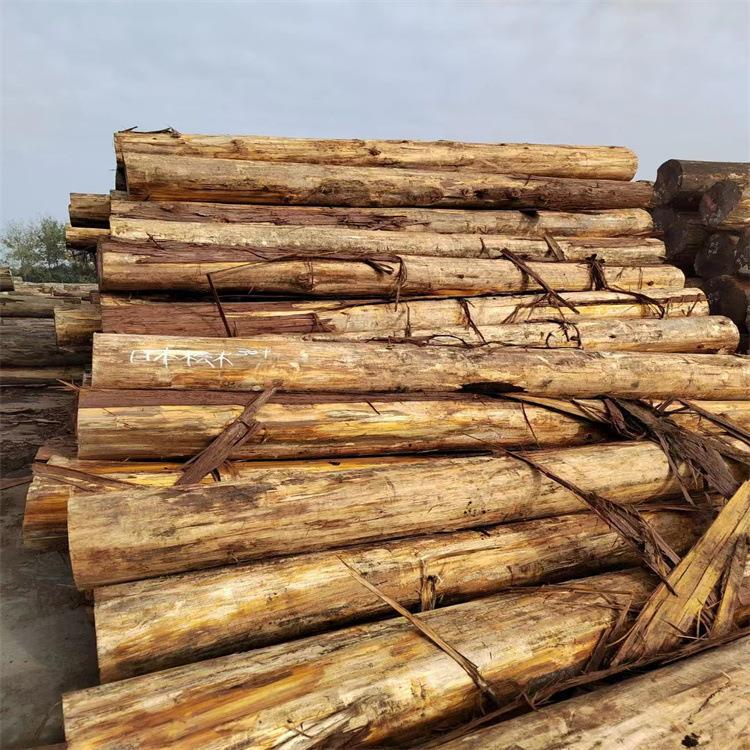 张家港厂家供应进口日本桧木 桧木原木 桧木板材 实木家具料