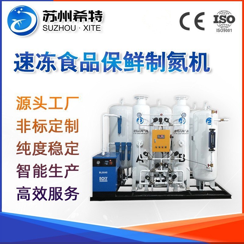 速冻食品保鲜制氮机食品生产线包装用氮气发生器食品保鲜氮气设备