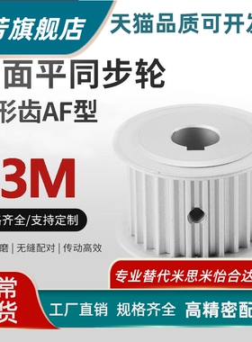 HTPA75S100-A-P/N同步轮两面平铝合金槽宽11 AF型S75齿同步轮
