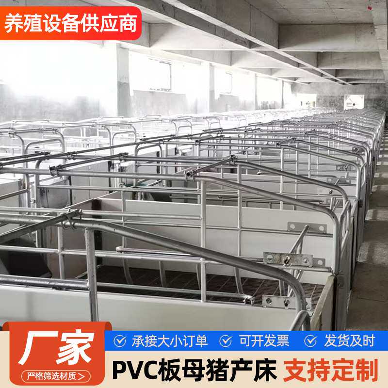 母猪产床PVC板母猪产床单体产床保育一体两用塑料板母猪分娩床