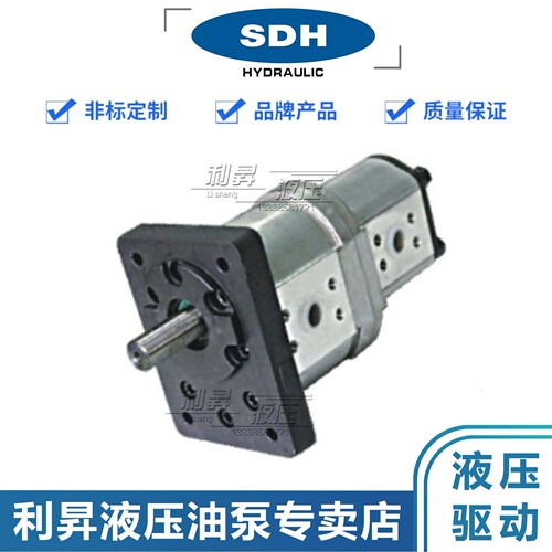 上海SDH液压双联齿轮泵CBD1-F563F86/F432F42 CBD1-F525F8/F410F6