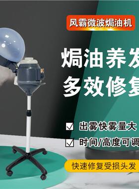 焗油机发廊专用家用理发店蒸汽机美发护理营养头发蒸发器直销