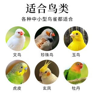 快速发货五谷混合鸟粮营养粮鸟食文鸟中I小鸟粮户外布施喂鸟器珍