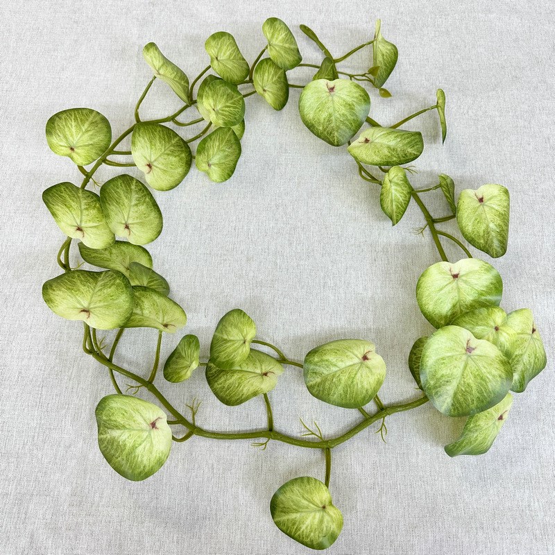 1.8米顺顺藤条植物仿真镜片叶藤条绿萝叶藤S条西瓜彩芋叶藤条