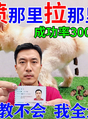 狗狗定点上厕所神器不乱拉屎
