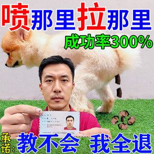 狗狗定点上厕所神器宠物不乱拉屎厕所诱导剂引大小便尿垫定点训练