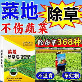 菜地除草专用剂不伤苗不伤蔬菜除草烂根杂草净禾阔双除一扫光神器