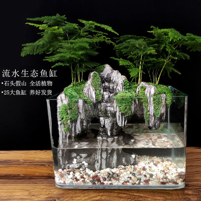 大鱼缸流水苔藓微景观生态瓶乌龟盆栽盆景植物室内办公室水培绿植