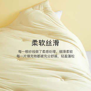 舒飘儿超柔奶盖被子被芯加厚冬被舒适亲肤儿童被子宿舍单人学生