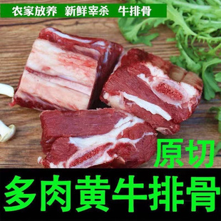 黄标牛排骨新鲜黄牛排骨带肉牛肋排骨正宗散养黄牛清真原切不调理