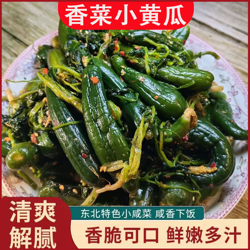 东北香菜小黄瓜黄瓜咸菜下饭菜泡菜外婆菜香脆小黄瓜咸菜黄瓜大全