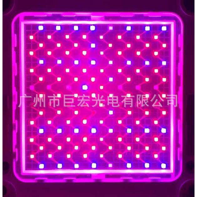 厂家大功率LED灯珠 136W红蓝紫多波段植物灯灯珠多色光