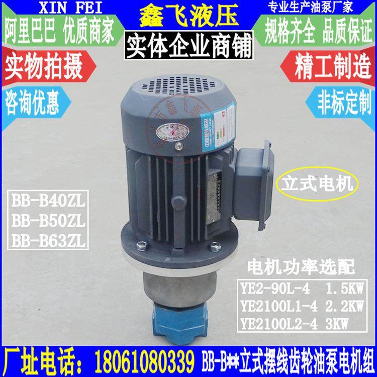 BB-B40ZL B50ZL B63ZL立式摆线齿轮油泵电机组装置YE2100L1-4 2.2,玩具/童车/益智/积木/模型,毛绒/玩偶/公仔/布艺类玩具,淘宝优惠券,粉丝福利购,淘宝优惠卷
