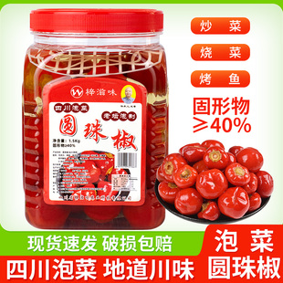 泡圆珠椒1.5kg瓶装泡灯笼椒青泡辣椒圆椒泡菜红灯笼海椒家用圆椒
