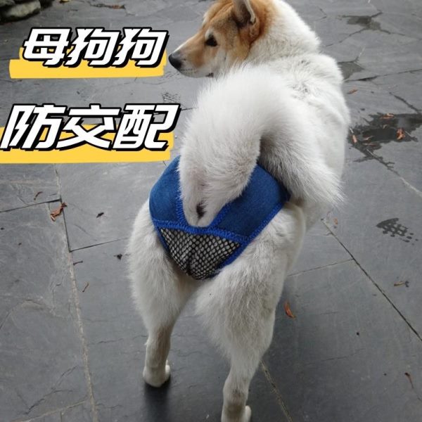 神器母母宠物防发狗狗狗狗生狗安全裤理期防小型犬情交配生理裤止