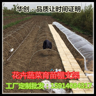 小拱棚支架 农用蔬菜暖棚花卉拱竿骨架拱竿育苗拱棚竿地拱塑料杆