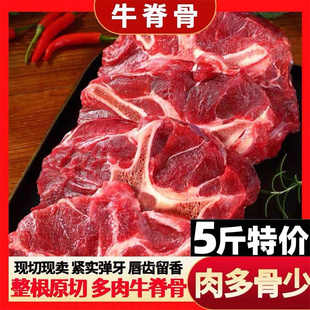 新鲜牛蝎子500g 带肉牛蝎子正宗农家散养黄牛脊骨生牛肉牛尾牛排