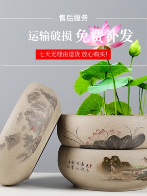 水养铜钱草花盆碗莲粗陶盆创意无孔家用一叶莲睡莲水培容器大口径