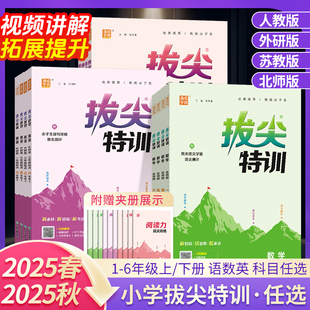2025秋拔尖特训一二三四五六年级上下册语文数学英语外研版 练习册同步训练课时作业本一课一练课堂笔记必刷题书 人教青岛北师苏教版