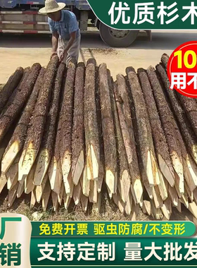 原木露营打桩结实耐用防腐