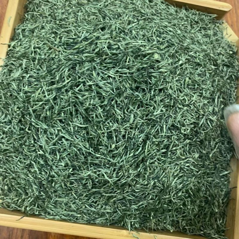2026信阳特级毛尖雨前春茶新茶正品高山嫩芽浓香型罐装绿茶叶500g
