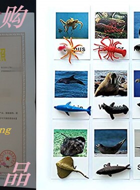 极速Montessgori Animal Match Game Cards MLarine Animal Match