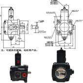 40H油泵VP 叶片泵VP FA3 15XH Y30 20H 包邮 新款 20D
