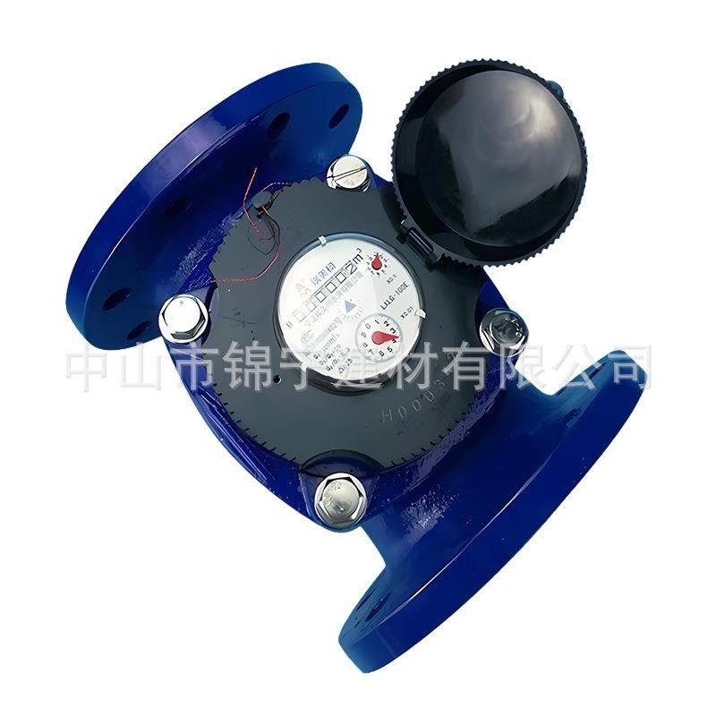 美柯069可拆水卸埃式铸铁DN65法水表大P口径表兰LXLG-E