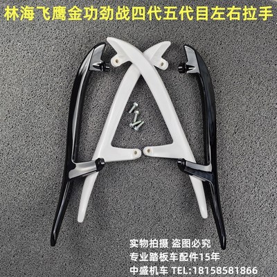 适用林海飞鹰金功劲战四代五代目摩托车油改电后左右尾.翼拉手扶