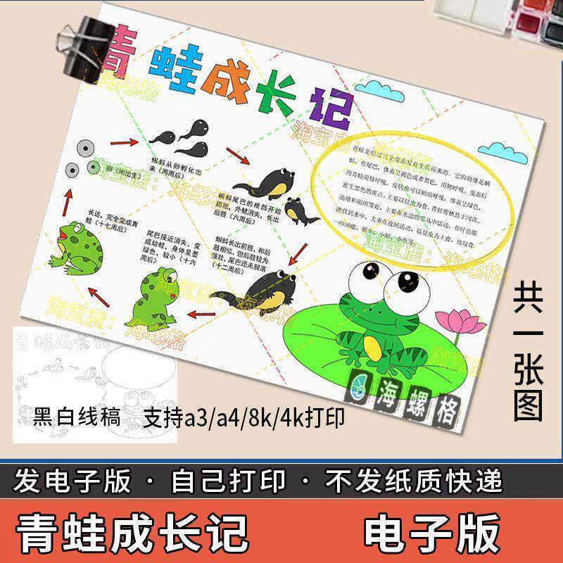 青蛙成长记手抄报模板动物生长记录小学生自然观察日记笔记小蝌蚪