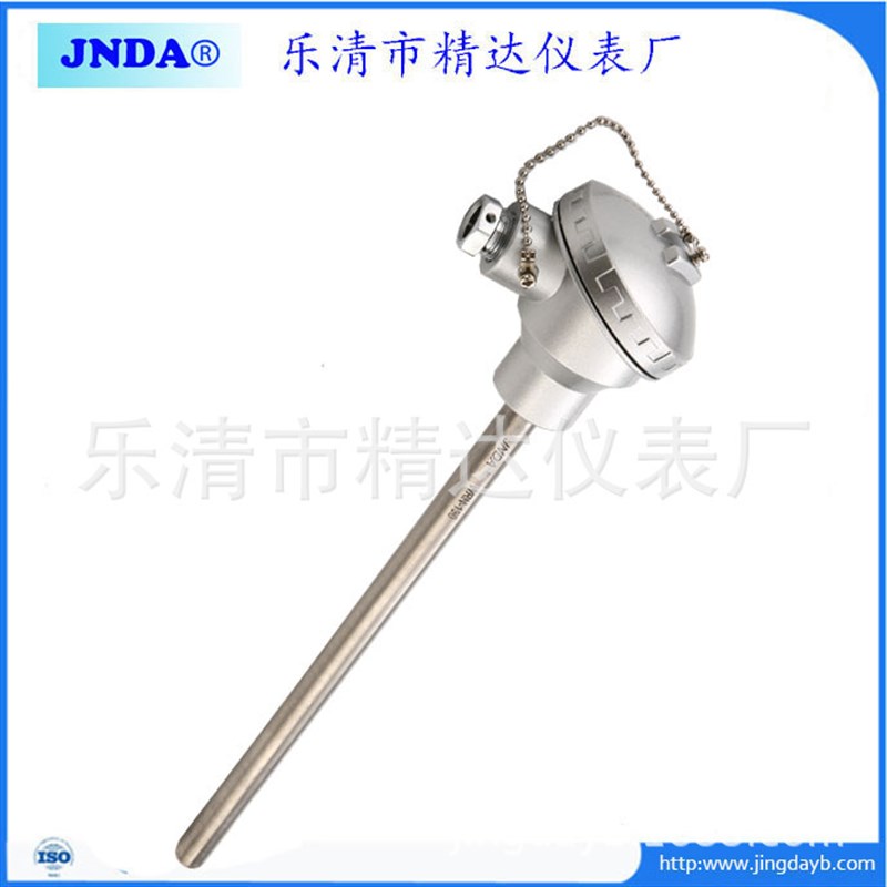 精达仪表WZP2-130铠装热电阻PT100双支铂热电阻无固定装置JNDA