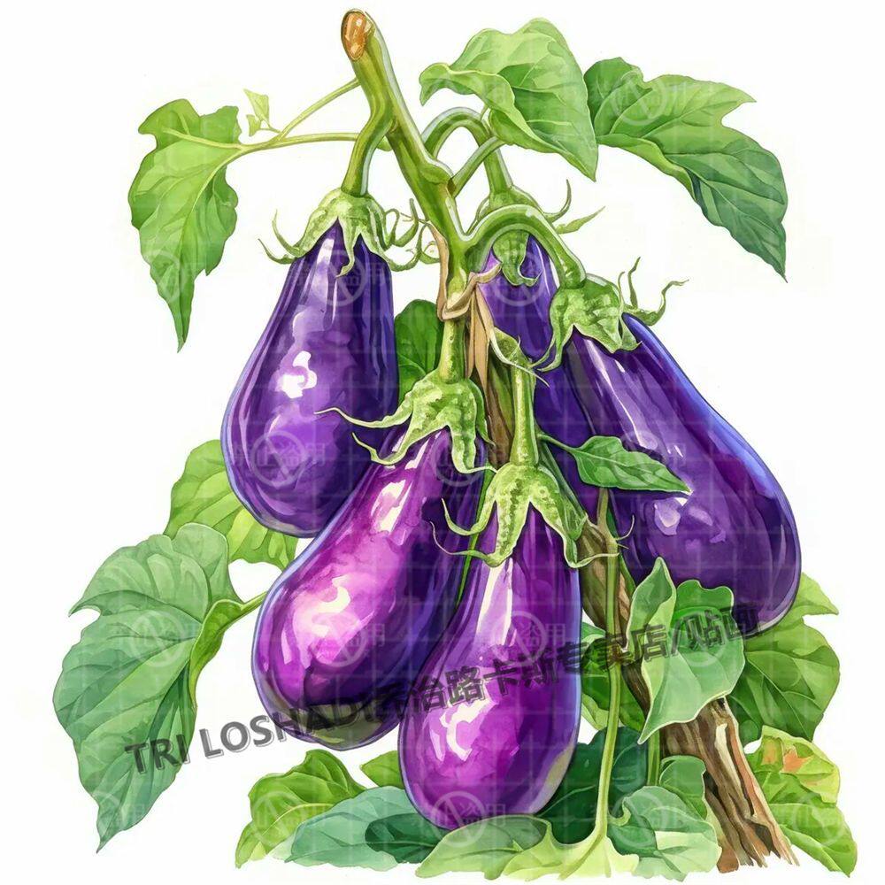 蔬菜茄子贴纸丰收果蔬厨房贴画防水自粘墙贴温馨冰箱贴画遮丑专用