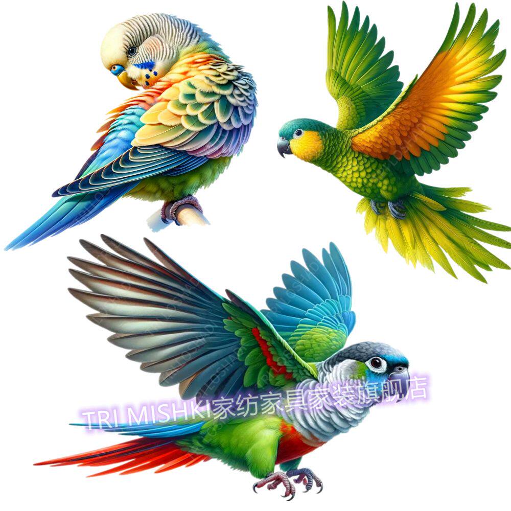 七彩鹦鹉小鸟贴纸客厅墙上装饰贴画遮丑墙纸自粘贴防水门窗贴画