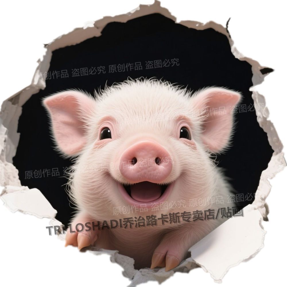 爆款十二生肖贴纸3d视觉破墙贴画房间装饰粘贴画遮丑补洞可爱门贴