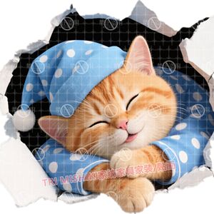 晚安橘猫3D自粘防水墙贴遮丑