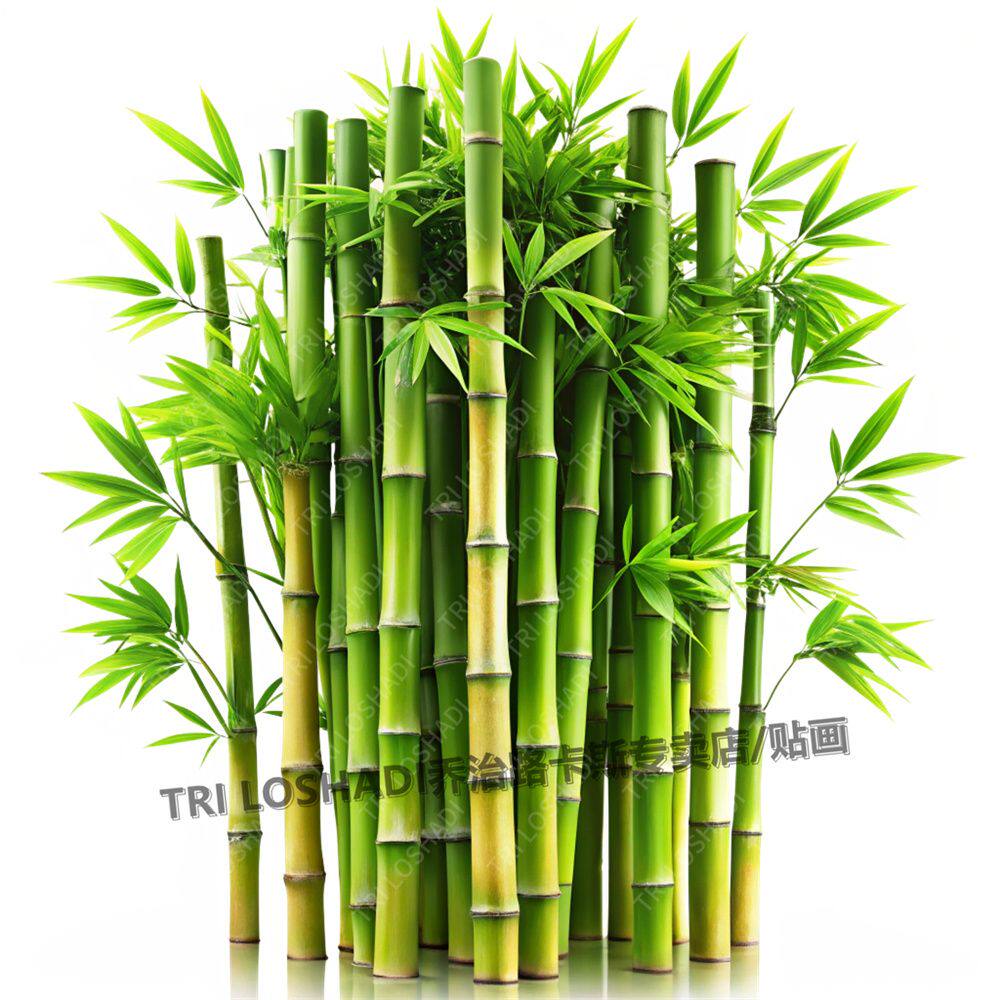 步步高升竹子树贴纸画客厅玄关墙角粘贴爆款自粘门贴养眼防水贴画