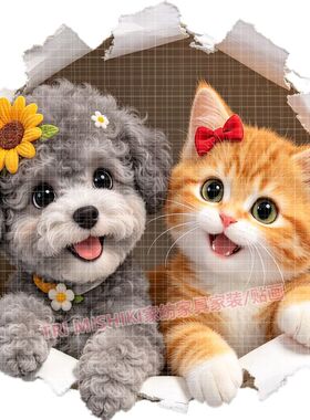 网红爆款泰迪狗狗贴纸橘猫自粘贴