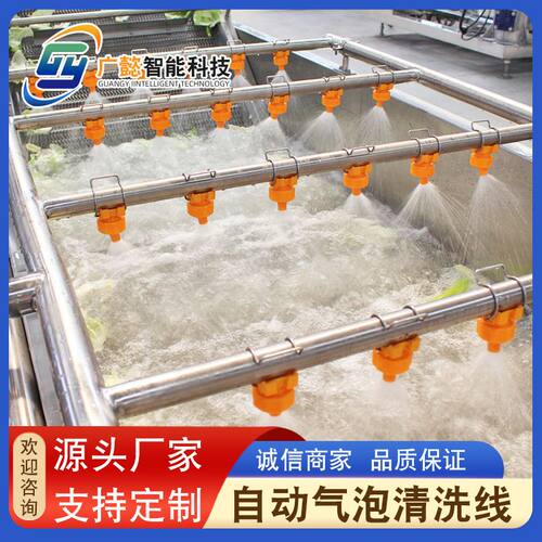 生菜莴苣清洗机 不锈钢黄桃气泡清洗机 全自动樱桃清洗机价格